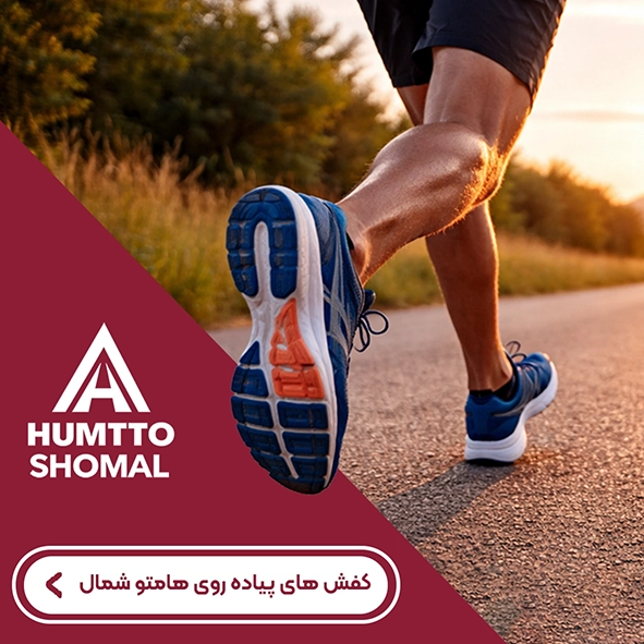 کتونی های هامتو شمال